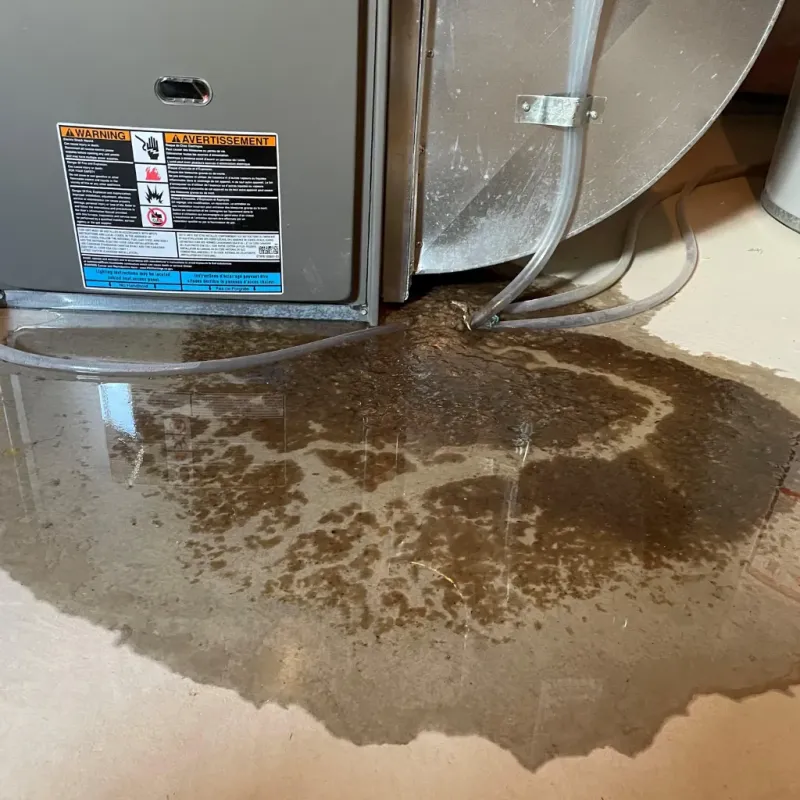 Appliance Leak Cleanup in Corydon, IN